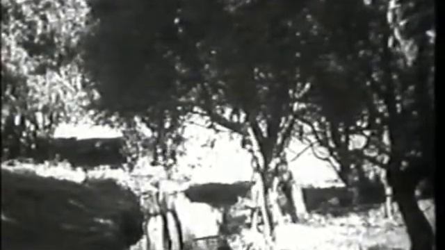 Новомосковск (1963)