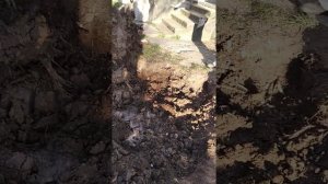 Как убрать большой пень