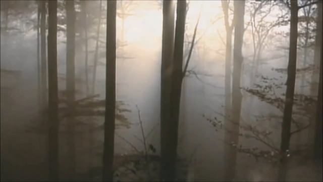 «Осень жизни» — православные стихи отца Олега Моленко смотреть онлайн