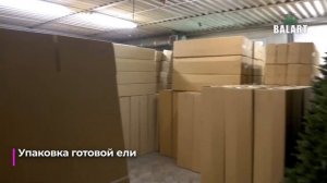 BALART -производство премиальных искусственных елей