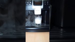 Работа моей кофемашины Saeco Royal Gran Crema