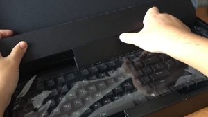РАСПАКОВКА! МОЯ НОВАЯ КЛАВИАТУРА! HyperX ALLOY ELITE!