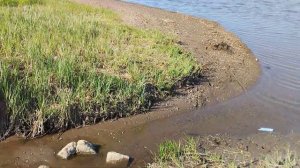 медитативное созерцание природы на берегу реки