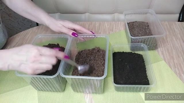 Грунт для глоксиний ,фиалок ,посадки семян , укоренение листиков смотреть онлайн