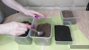 Грунт для глоксиний ,фиалок ,посадки семян , укоренение листиков