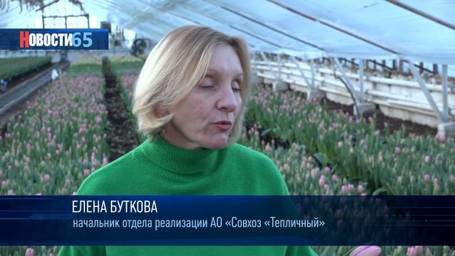 Тюльпаны к 8 марта смотреть онлайн