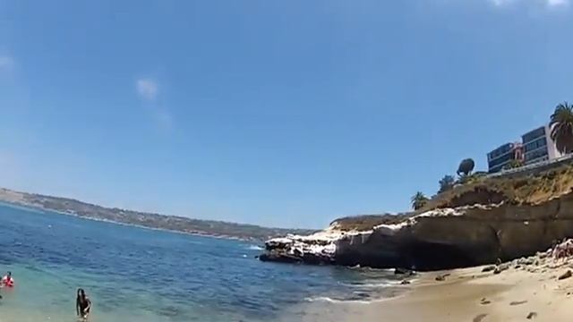 №37.Морские котики на пляже в Сан Диего смотреть онлайн