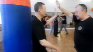 Направление усилия в тайцзи-цюань и илицюань 2017