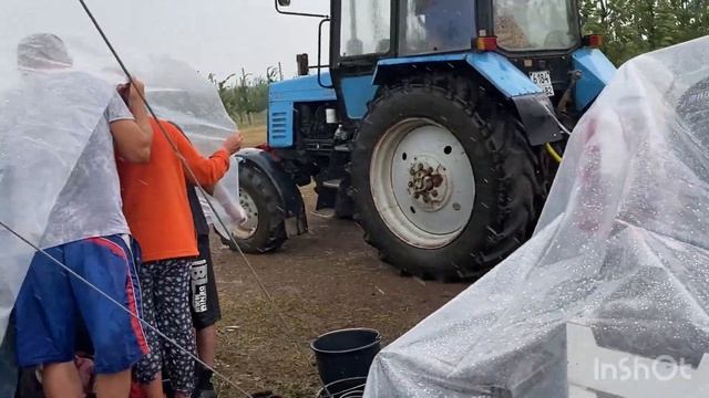 Работа в Крыму/ Сбор черешни ?и клубники?