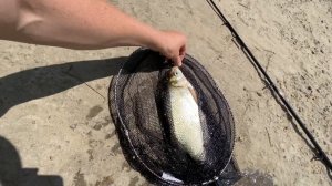 Рыбалка на реке Хопёр (первый Лещ).