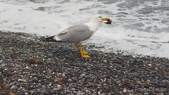 Ялта-23. 3 серия .mp4 смотреть онлайн