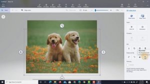 Remove Background From any Picture in Windows FREE