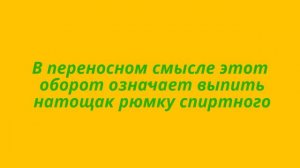 Откуда взялось выражение «заморить червячка»?