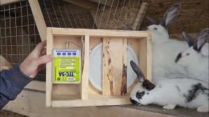 Кролики Александра Мишина и Катушки. Лечение Аппаратом ТГС-5 кроликов, цыплят в инкубаторе, и котов