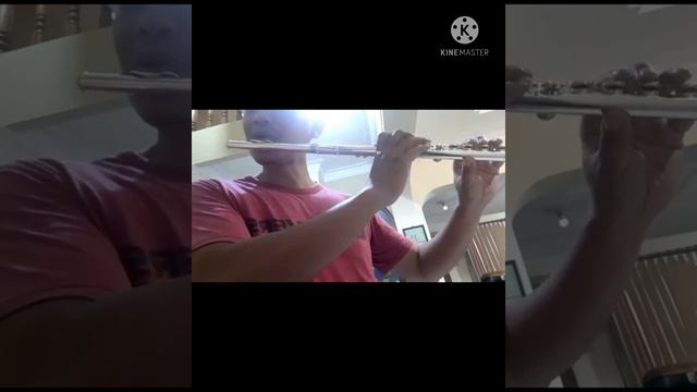 Yamaha YFL 222. overhaul by HarryRepairs смотреть онлайн