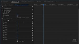 Oil Painting Effect in Adobe Premiere Pro