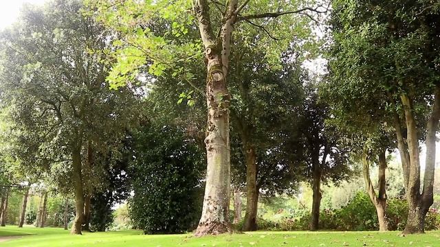 ГРАНВИЛЬ (Франция). Дом и сад Кристиана Диора смотреть онлайн