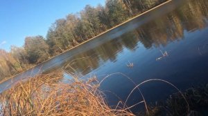 Осенняя рыбалка на гальяна