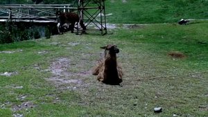 Перу 3. Красная крепость mp4