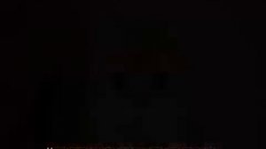 Рыжий кот: особенности характера и популярные породы