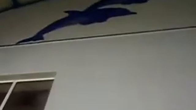 Городской округ ЗАТО Александровск смотреть онлайн