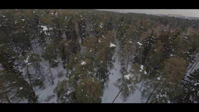 Зимний лес / Winter Forest Cinematic 4k footage смотреть онлайн