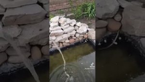 КАК ОЧИСТИТЬ ВОДУ В ПРУДУ