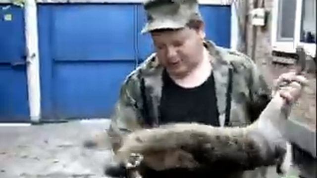 Немецкая  овчарка  на  охоте. Лучше  немца  только  немец.
