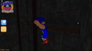 ? Sonic & Amy VS Grumpy Gran (ROBLOX)