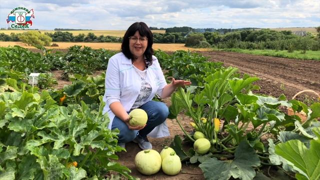 Ласточкино гнездо-4 - Оффтопик - Страница 762 (id темы 62600) - PesIQ