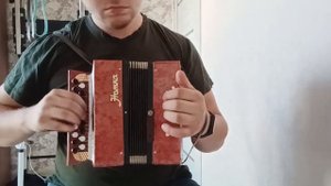 гармонь нотка продажа