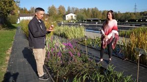 Водные растения для пруда и водоёмов. Обзор питомника с декоративными растениями для сада с водой