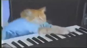 Keyboard Cat 10 Hours
