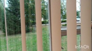 Слоним, лето, курсы 30.08.23.