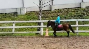 Как проходят мои занятия по конному спорту