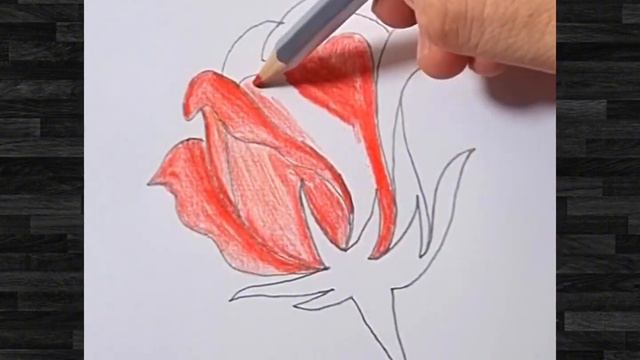 Red flower image | flower drawing easy and beautiful | How to draw a red flower смотреть онлайн