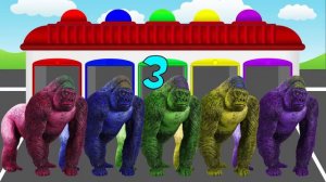 NEW COLORS GORILLA! LEARN COLORS! Video for kids and toddlers!