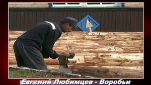 Евгений Любимцев - Воробьи.mp4