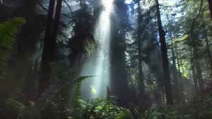 Переспала с другом мужа. Как жить дальше. Реальная история