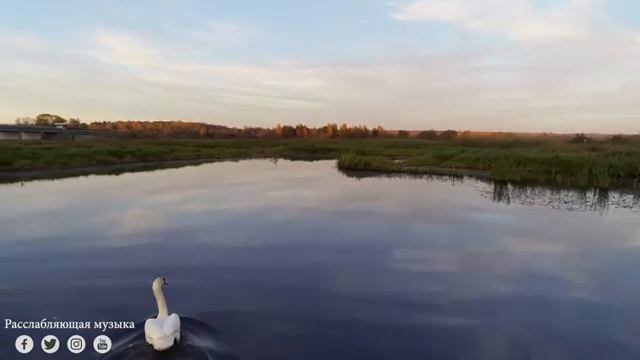 Успокаивающая музыка лечит сердце и успокаивает нервную систему! Музыка лечит сердце и сосуды смотреть онлайн