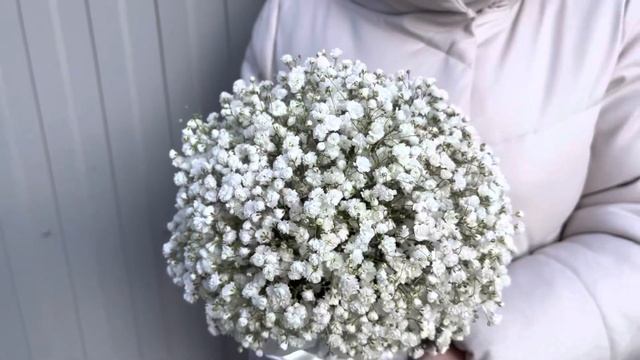 Белая гипсофила в коробке «Облако» смотреть онлайн