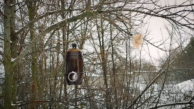 Кормушка для птиц | Синицы | Лазоревки | Воробьи | Дятел | Накормим птиц зимой. смотреть онлайн