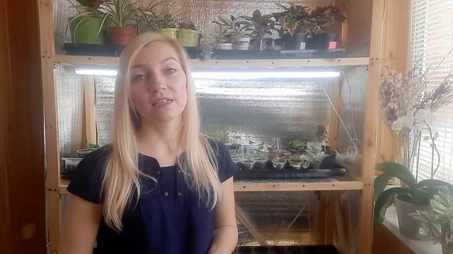 Как устроен мой стеллаж для рассады/Бюджетный вариант смотреть онлайн