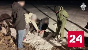 Задержанный насильник рассказал, как убил 16-летнюю девушку - Россия 24 