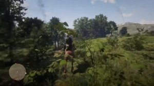 Red Dead Redemption 2. Золотой самовзводный револьвер из GTA ONLINE! Получить бесплатно