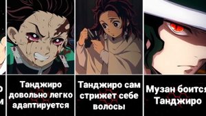 30 Интересных Фактов о Танджиро Камадо