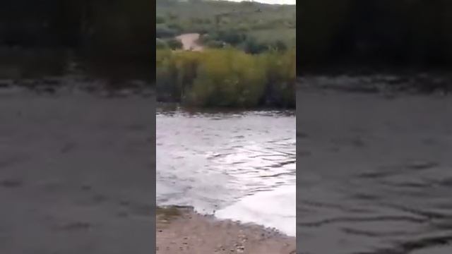 Девочка в селе Усть-Теленгуй Шилкинского района чуть не утонула, упав в разлившуюся реку