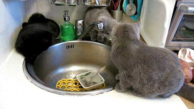 Игра с водой смотреть онлайн