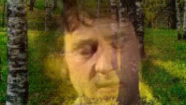 В С Высоцкий Протопи ты мне баньку по- белому смотреть онлайн