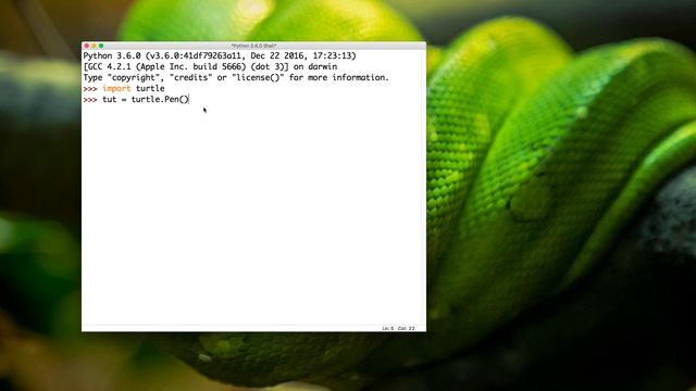 Introduction to drawing with Python смотреть онлайн